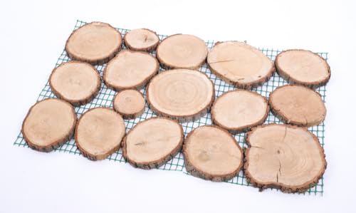 PROREGAL Gartenweg aus Holz | HxBxT 80x50x2,2 cm | 2 cm dichte des Eichenholz | 4 Stück | Gehplatten, Holzscheiben, Holzplatten, Gartenplatten PROREGAL Gartenweg aus Holz | HxBxT 80x50x2,2 cm | 2 cm dichte des Eichenholz | 4 Stück | Gehplatten, Holzscheiben, Holzplatten, Gartenplatten von PROREGAL