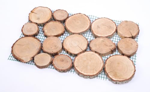 PROREGAL Gartenweg aus Holz | HxBxT 80x50x3,2 cm | 3 cm dichte des Eichenholz | 1 Stück | Gehplatten, Holzscheiben, Holzplatten, Gartenplatten PROREGAL Gartenweg aus Holz | HxBxT 80x50x3,2 cm | 3 cm dichte des Eichenholz | 1 Stück | Gehplatten, Holzscheiben, Holzplatten, Gartenplatten von PROREGAL