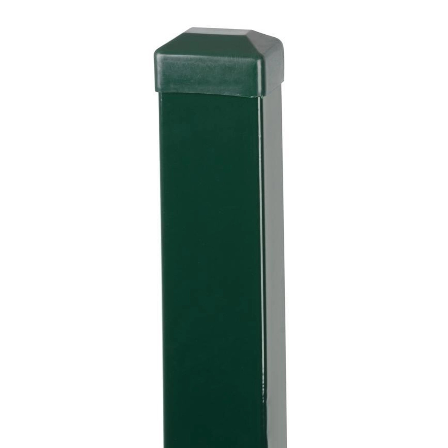 PROREGAL Maschendrahtzaun, Zaunpfosten, mit Kappe, Quadrat Eurostandard, 1600/60x40/1,25mm, Grün, Quadrat, Cap, Zn+PVC, RAL6005 von PROREGAL