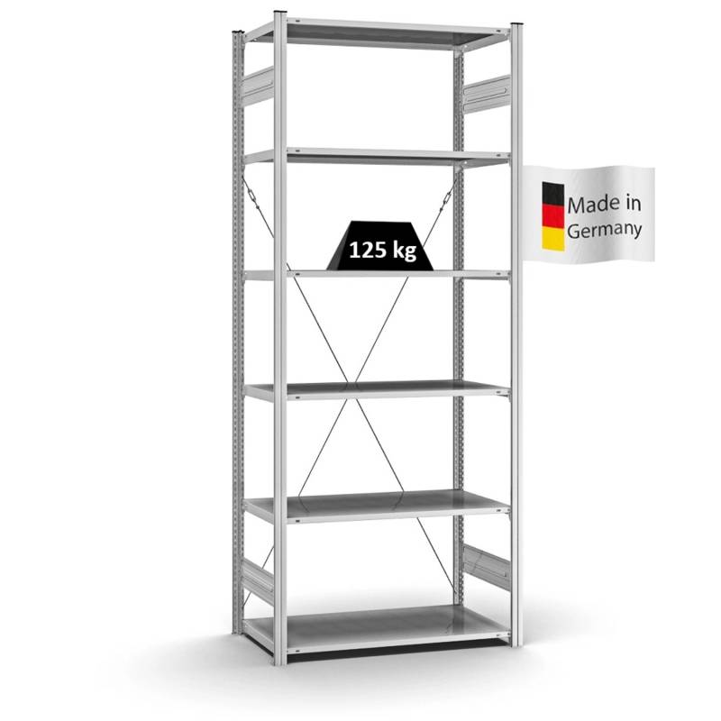 PROREGAL Profi Lagerregal Stecksystem T-Profil Grundregal HxBxT 250 x 100 x 50 cm Fachlast 125 kg Verzinkt von PROREGAL