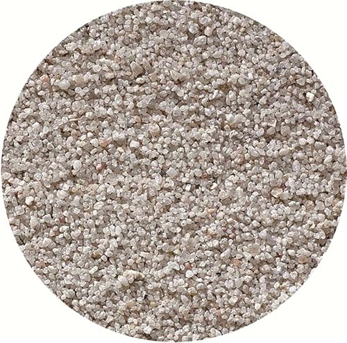 PROREGAL Quarz-Silbersand für Ascher und Sandbefüllung | 25kg | Sand Aschenbechersand von PROREGAL