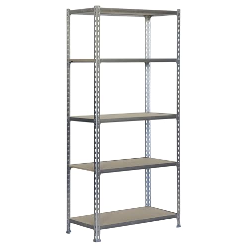 PROREGAL Schwerlastregal Big MULI | HxBxT 200x100x30cm | 5 Fachböden | Fachlast 150kg | Verzinkt | Lagerregal Werkstattregal | Standregal Lagerregal PROREGAL Schwerlastregal Big MULI | HxBxT 200x100x30cm | 5 Fachböden | Fachlast 150kg | Verzinkt | Lagerregal Werkstattregal | Standregal Lagerregal von PROREGAL