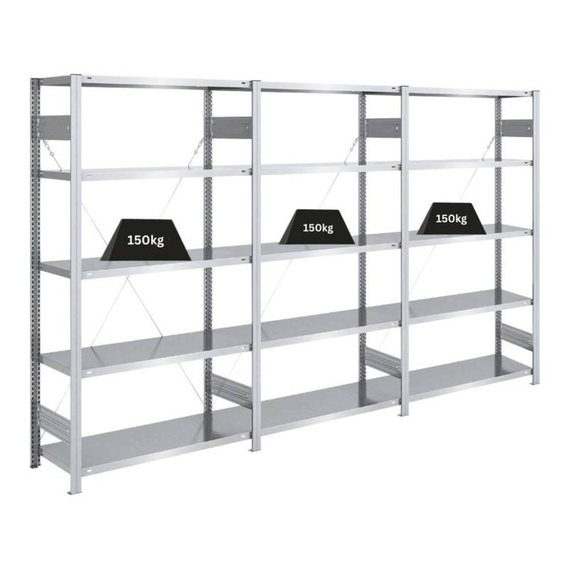 PROREGAL Schwerlastregal Silver Mamba Made In Germany  HxBxT 200 x 300 x 40 cm 5 Ebenen Je 150 kg Fachlast  Verzinkt von PROREGAL