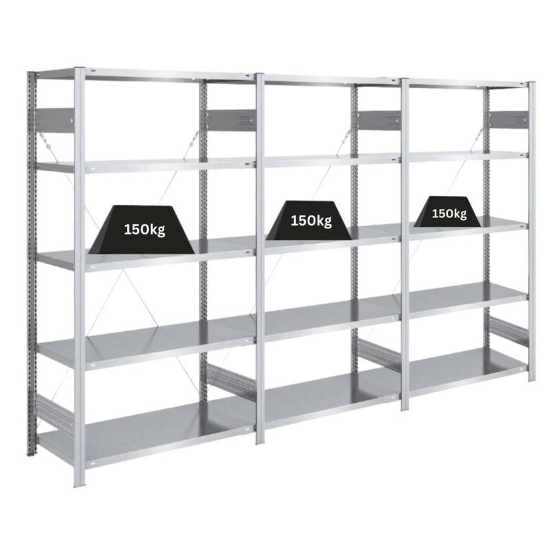 PROREGAL Schwerlastregal Silver Mamba Made In Germany  HxBxT 200 x 300 x 50 cm 5 Ebenen Je 150 kg Fachlast  Verzinkt von PROREGAL