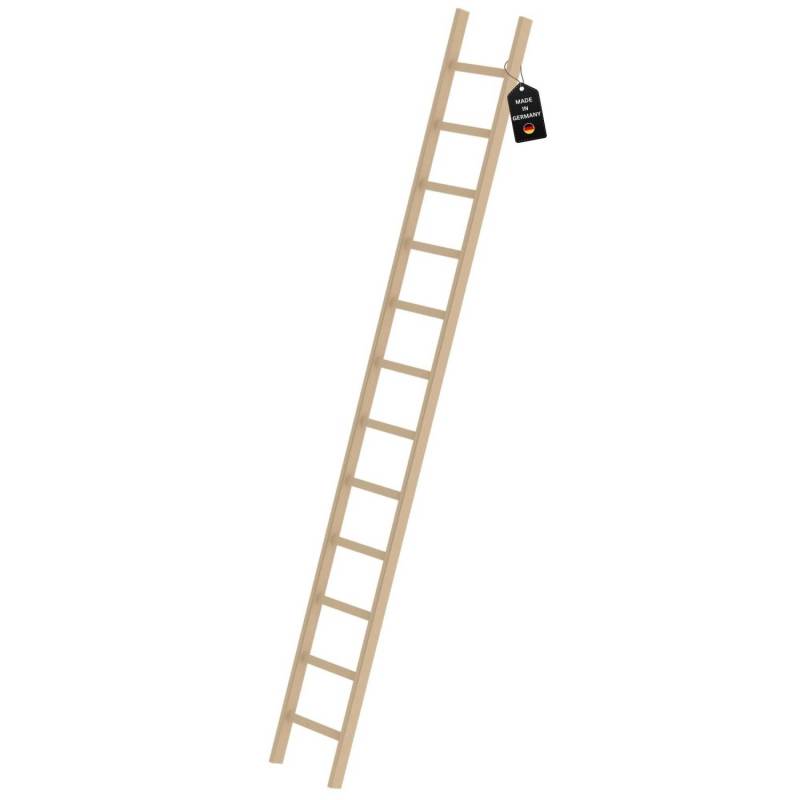 PROREGAL Sprossen-Anlegeleiter Holz Ohne Traverse 12 Sprossen von PROREGAL