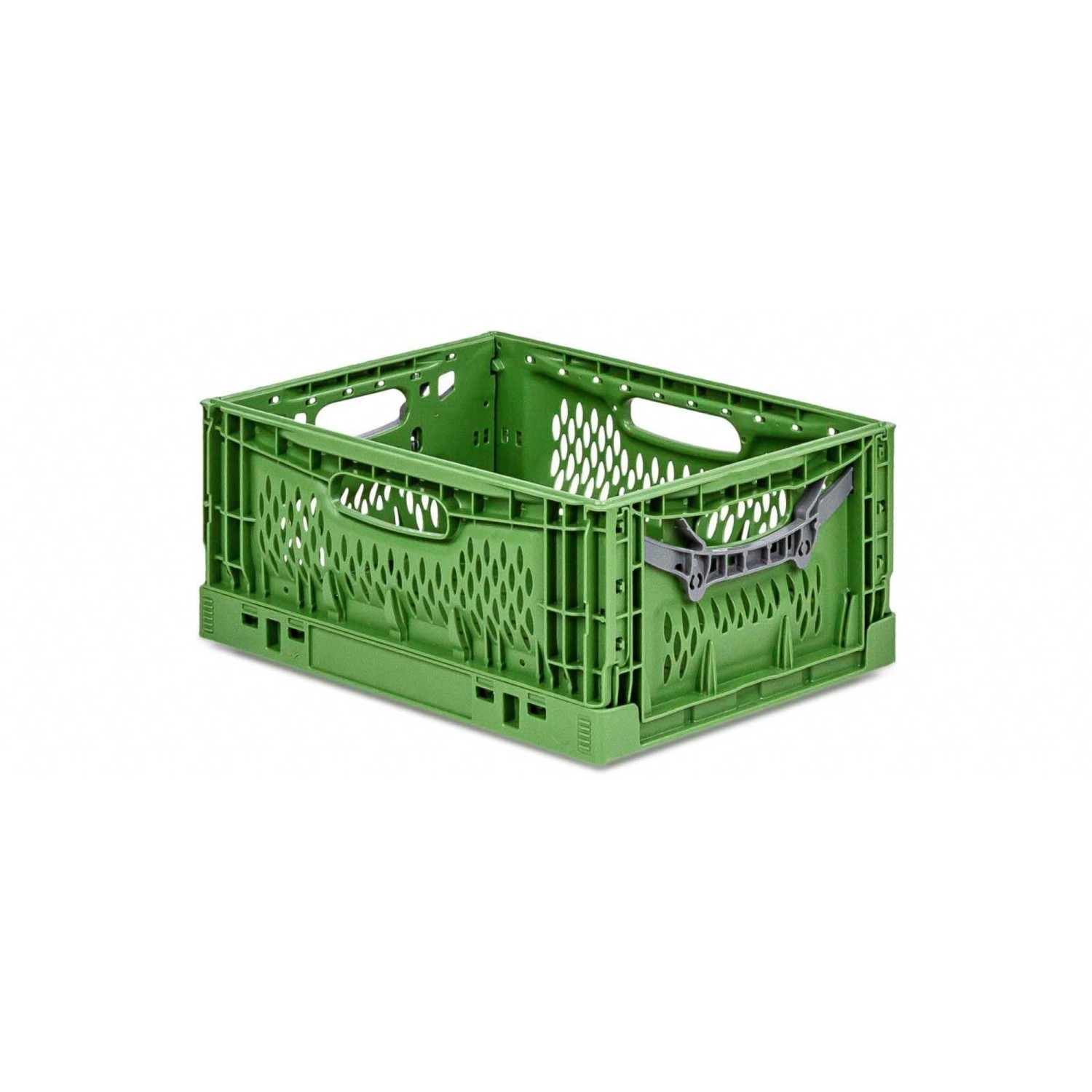 PROREGAL Stabile Profi-Klappbox Chameleon in Industriequalität HxBxT 18 x 30 x 40 cm 17 Liter klappbar stapelbar PROREGAL Stabile Profi-Klappbox Chameleon in Industriequalität HxBxT 18 x 30 x 40 cm 17 Liter klappbar stapelbar von PROREGAL