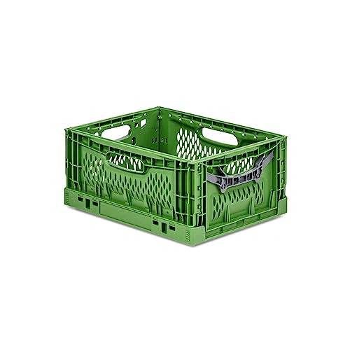 PROREGAL Stabile Profi-Klappbox Chameleon in Industriequalität | HxBxT 18x30x40cm | 17 Liter | klappbar lebensmittelecht | Eurobox Eurobehälter Transportbehälter Stapelbehlter Faltbox von PROREGAL