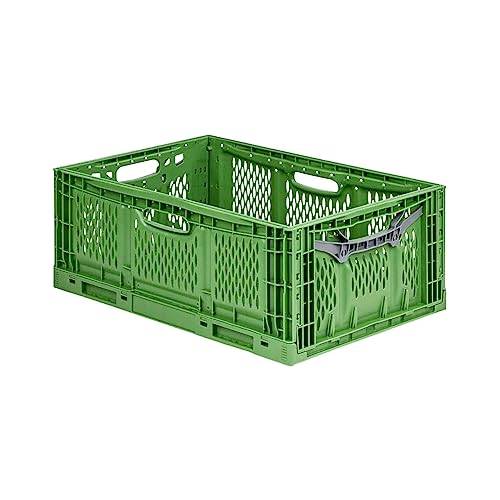 PROREGAL Stabile Profi-Klappbox Chameleon in Industriequalität | HxBxT 23x40x60cm | 45 Liter | klappbar lebensmittelecht | Eurobox Eurobehälter Transportbehälter Stapelbehlter Faltbox von PROREGAL