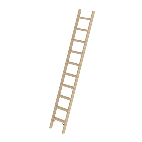 PROREGAL Stufen-Anlegeleiter Holz ohne Traverse | 10 Stufen | Leiter, Teleskopleiter, Trittleiter, Bockleiter, Sprossen-Doppelleiter von PROREGAL
