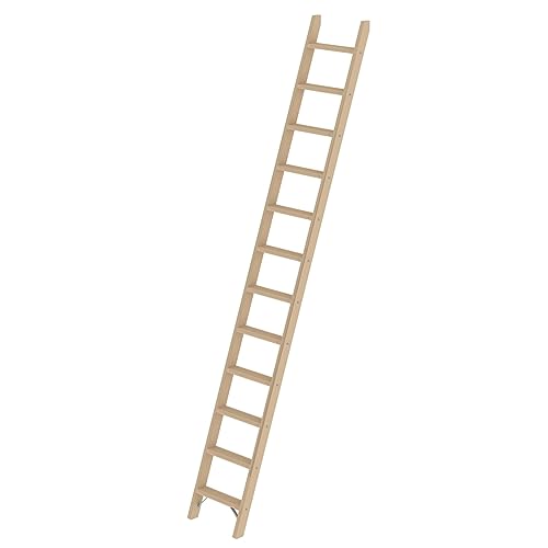 PROREGAL Stufen-Anlegeleiter Holz ohne Traverse | 12 Stufen | Leiter, Teleskopleiter, Trittleiter, Bockleiter, Sprossen-Doppelleiter von PROREGAL