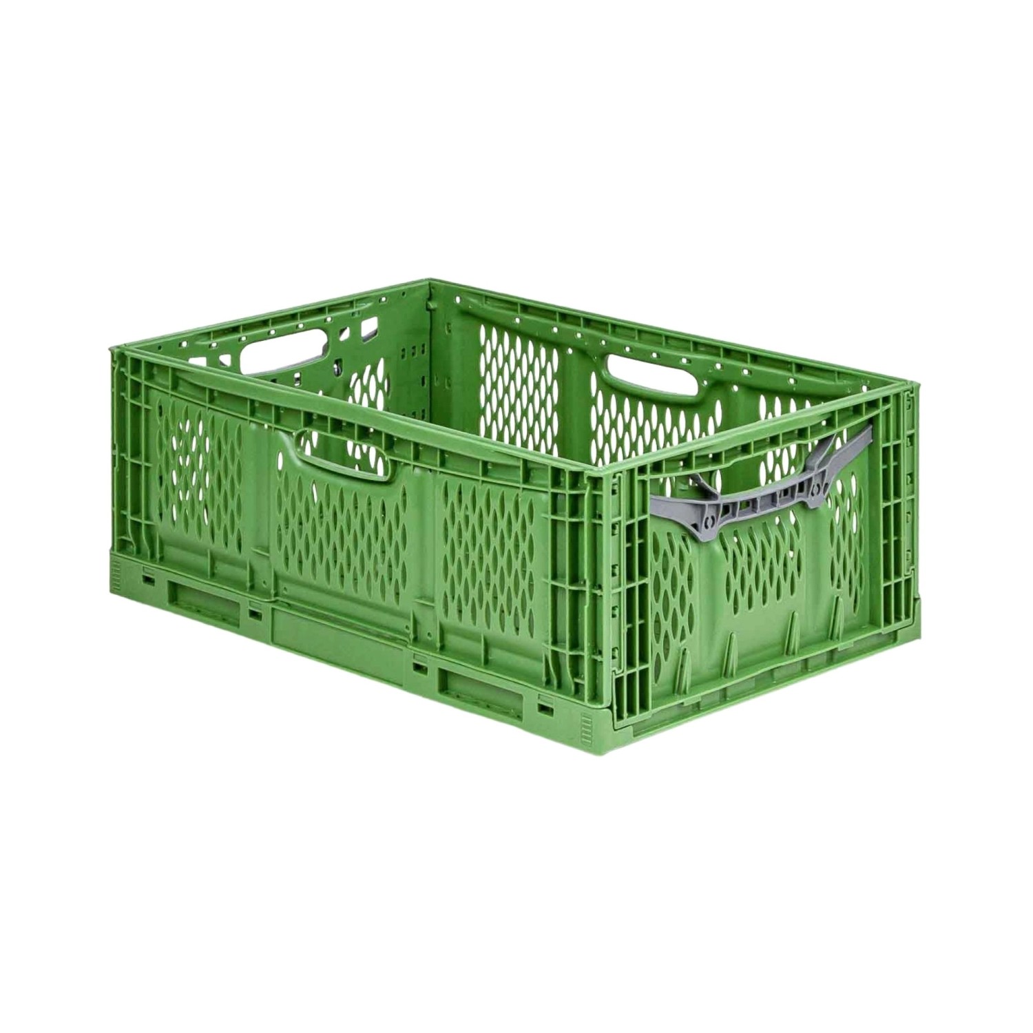 PROREGAL SuperSparSet 10x Stabile Profi-Klappbox Chameleon in Industriequalität HxBxT 23 x 40 x 60 cm 45 Liter Klappbar Stapelbar PROREGAL SuperSparSet 10x Stabile Profi-Klappbox Chameleon in Industriequalität HxBxT 23 x 40 x 60 cm 45 Liter Klappbar Stapelbar von PROREGAL