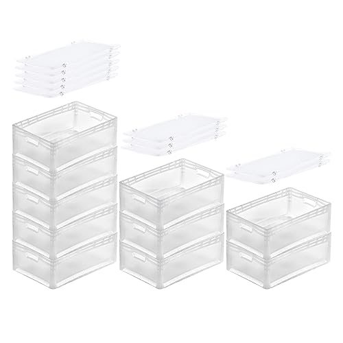 PROREGAL SuperSparSet 10x Transparenter Eurobehälter LightLine mit offenem Griff & Auflagedeckel | HxBxT22x40x60cm | 46 Liter | Eurobox Transportbox Transportbehälter Stapelbehälter PROREGAL SuperSparSet 10x Transparenter Eurobehälter LightLine mit offenem Griff & Auflagedeckel | HxBxT22x40x60cm | 46 Liter | Eurobox Transportbox Transportbehälter Stapelbehälter von PROREGAL