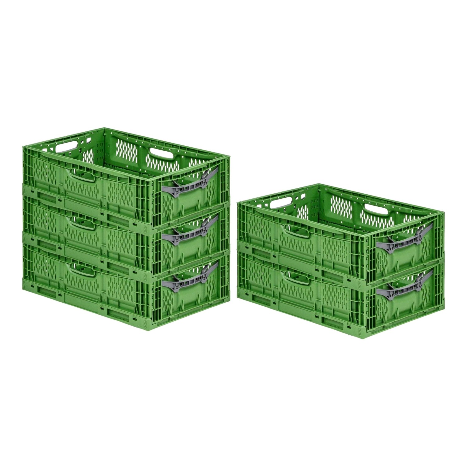 PROREGAL SuperSparSet 5x Stabile Profi-Klappbox Chameleon in Industriequalität HxBxT 18 x 40 x 60 cm 35 Liter Klappbar Stapelbar PROREGAL SuperSparSet 5x Stabile Profi-Klappbox Chameleon in Industriequalität HxBxT 18 x 40 x 60 cm 35 Liter Klappbar Stapelbar von PROREGAL