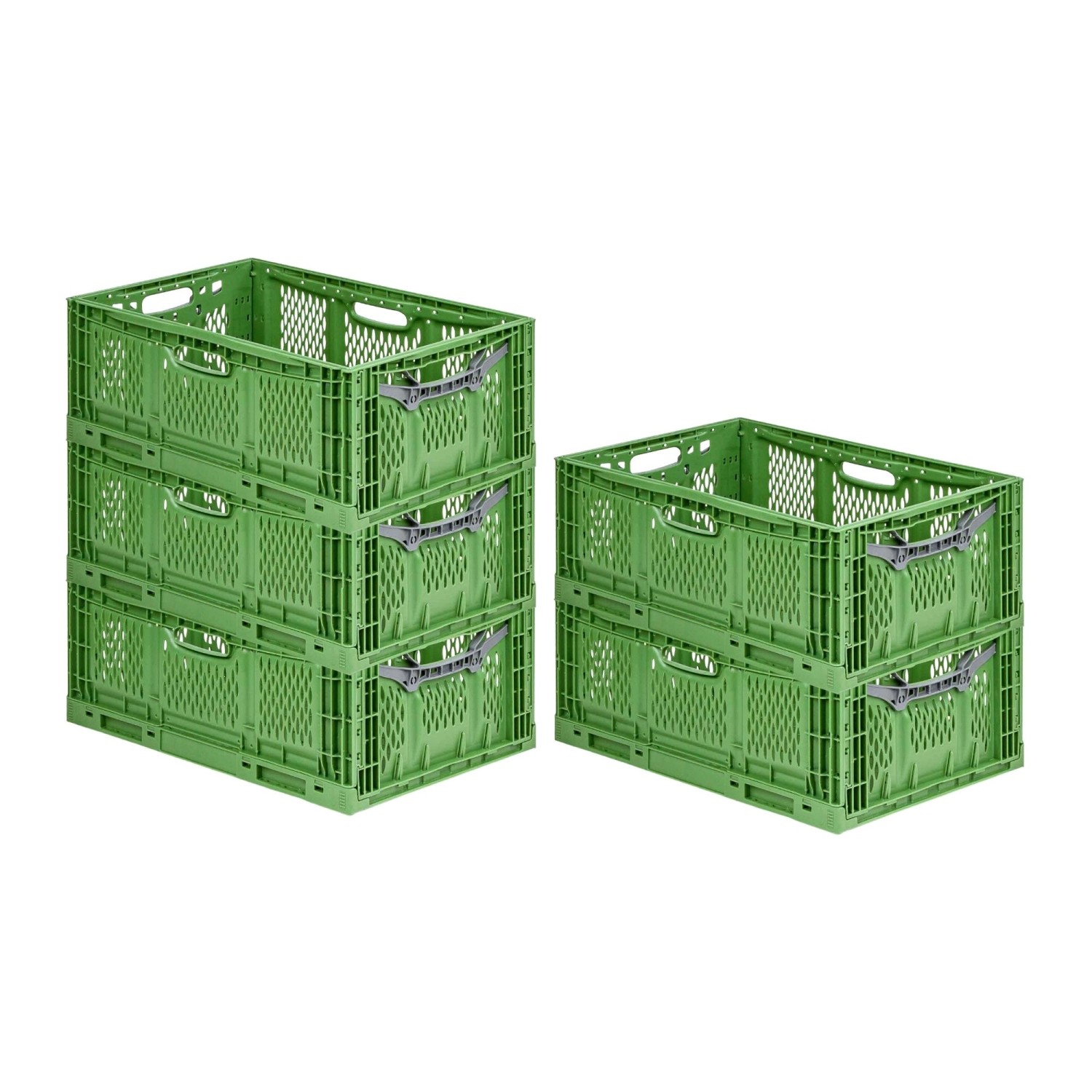 PROREGAL SuperSparSet 5x Stabile Profi-Klappbox Chameleon in Industriequalität HxBxT 23 x 40 x 60 cm 45 Liter Klappbar Stapelbar PROREGAL SuperSparSet 5x Stabile Profi-Klappbox Chameleon in Industriequalität HxBxT 23 x 40 x 60 cm 45 Liter Klappbar Stapelbar von PROREGAL