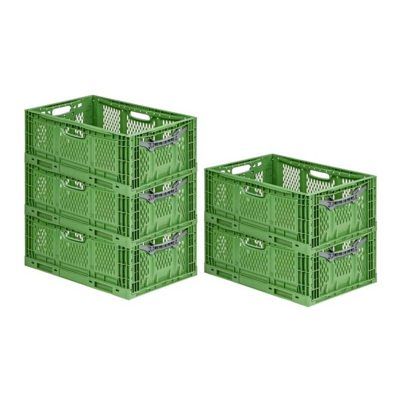 PROREGAL SuperSparSet 5x Stabile Profi-Klappbox Chameleon in Industriequalität HxBxT 23 x 40 x 60 cm 45 Liter Klappbar Stapelbar von PROREGAL