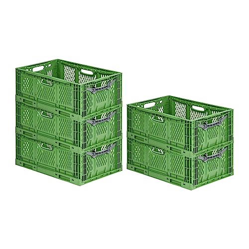 PROREGAL SuperSparSet 5x Stabile Profi-Klappbox Chameleon in Industriequalität | HxBxT 23x40x60cm | 45L | klappbar stapelbar durchbrochen lebensmittelecht | Eurobox Eurobehälter Transportbehälter von PROREGAL