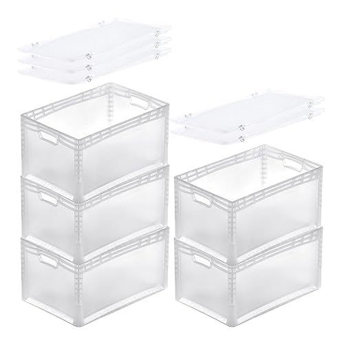 PROREGAL SuperSparSet 5x Transparenter Eurobehälter LightLine mit offenem Griff & Scharnierdeckel | HxBxT 32x40x60cm | 66 Liter | Eurobox Transportbox Transportbehälter Stapelbehälter von PROREGAL