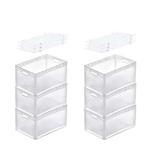 PROREGAL SuperSparSet 6x Transparenter Eurobehälter LightLine mit offenem Griff & Auflagedeckel | HxBxT 32x40x60cm | 66 Liter | Eurobox Transportbox Transportbehälter Stapelbehälter von PROREGAL