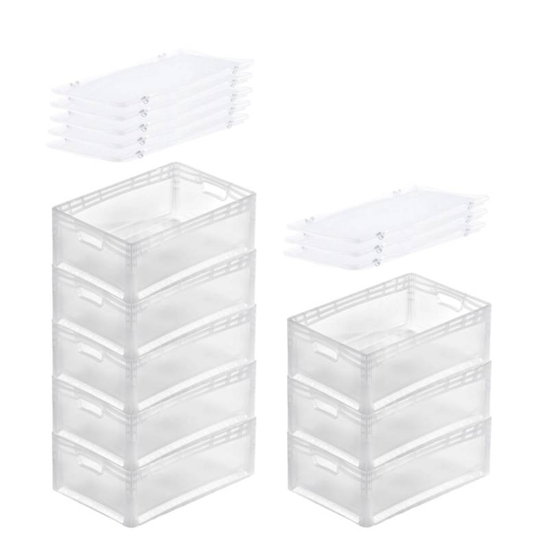 PROREGAL SuperSparSet 8x Transparenter Eurobehälter LightLine mit Offenem Griff und Auflagedeckel HxBxT22 x 40 x 60 cm 46 Liter Eurobox von PROREGAL