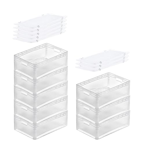 PROREGAL SuperSparSet 8x Transparenter Eurobehälter LightLine mit offenem Griff & Auflagedeckel | HxBxT22x40x60cm | 46 Liter | Eurobox Transportbox Transportbehälter Stapelbehälter von PROREGAL
