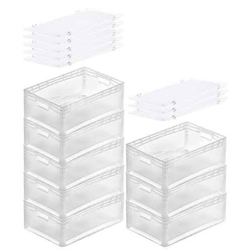 PROREGAL SuperSparSet 8x Transparenter Eurobehälter LightLine mit offenem Griff & Scharnierdeckel | HxBxT22x40x60cm | 46 Liter | Eurobox Transportbox Transportbehälter Stapelbehälter von PROREGAL