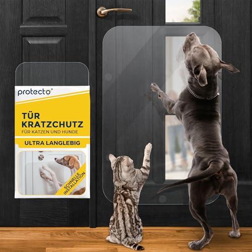 PROTECTO Tür Kratzschutz für Hund - 90 x 60 cm Katzen Kratzschutz, Kratzfester Katzenschutz, Transparente Anti Kratz Folie für Katzen, Tür Kratzschutz Katze - Einfache Installation mit Klebepads von PROTECTO