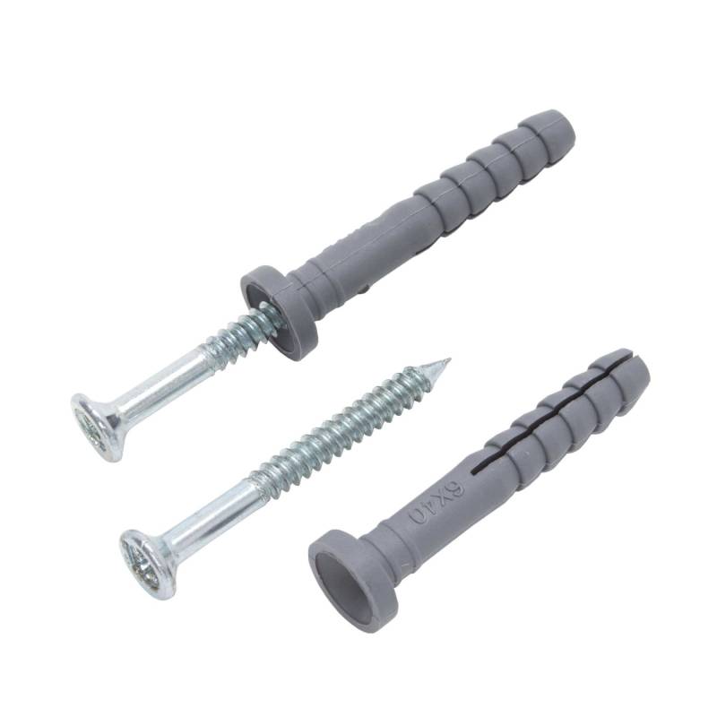 Protektor Schlagdübel Set 100x 6mm x 40mm Kreuzschlitz Stahl Silber von PROTEKTOR