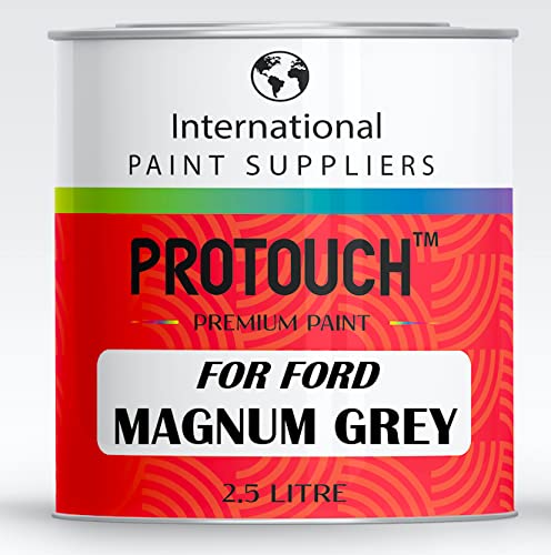 PROTOUCH FÜR FORD MAGNUM GRAU BASLACK REN OUTTUNTEN BILLACK 2,5L Dose von PROTOUCH