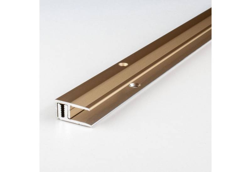 PROVISTON Abschlussprofil Aluminium, 21 x 7 - 15 x 2700 mm, Bronze Hell, Einfassprofil von PROVISTON