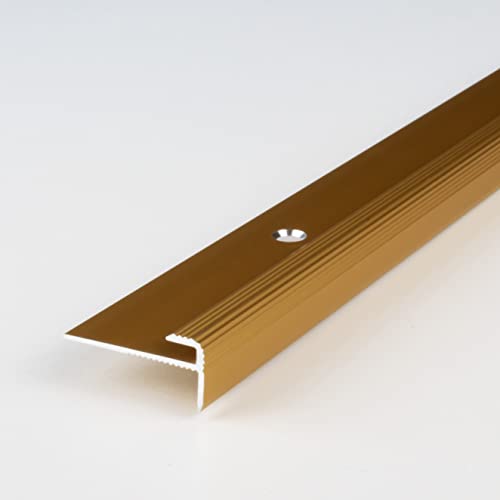 PROVISTON | Einfassprofil | Aluminium eloxiert | Goldfarbig | Breite 25 mm | Höhe 3 mm | Länge 1000 mm | Gebohrt | Abschlussprofil | Einschubprofil | Abschlussleiste | Bodenprofil | 1 Stück von PROVISTON