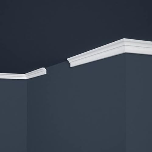 PROVISTON | Stuckleiste | Polystyrol | 17 x 25 x 2000 mm | Weiß | Deckenleiste | Überstreichbar | Einfache Montage | Hochwertig | Stabil und Leicht | 2 Meter PROVISTON | Stuckleiste | Polystyrol | 17 x 25 x 2000 mm | Weiß | Deckenleiste | Überstreichbar | Einfache Montage | Hochwertig | Stabil und Leicht | 2 Meter von PROVISTON