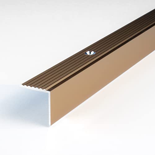 PROVISTON | Treppenkante | Aluminium eloxiert | Bronze Hell | Breite 20 mm | Höhe 20 mm | Länge 1000 mm | Gebohrt | Treppenkantenprofil | Treppenwinkel | Winkelprofil | Kombiwinkel | 1 Stück von PROVISTON