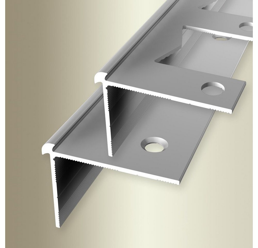 PROVISTON Treppenkantenprofil Aluminium, 39 x 29 x 1000 mm, Silber, Treppenkante, Winkelprofil von PROVISTON