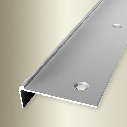 PROVISTON | Treppenkantenprofil | Breite: 48 mm | Höhe: 2.5 mm | Länge: 1000 mm | Aluminium eloxiert | Silber | Versenkt Gebohrt von PROVISTON