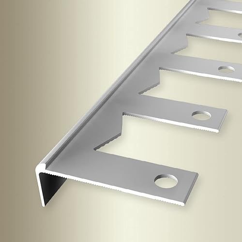 PROVISTON | Treppenkantenprofil | Breite: 48 mm | Höhe: 2.5 mm | Länge: 2500 mm | Aluminium eloxiert | Biegbares Profil | Silber | Offen Gestanzt von PROVISTON
