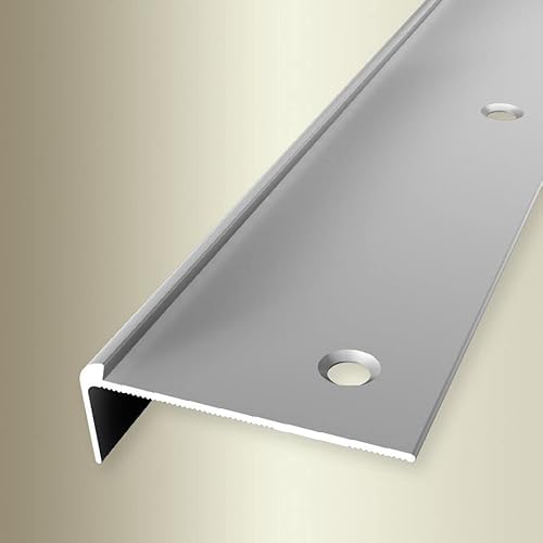 PROVISTON | Treppenkantenprofil | Breite: 48 mm | Höhe: 3 mm | Länge: 1000 mm | Aluminium eloxiert | Silber | Versenkt Gebohrt von PROVISTON