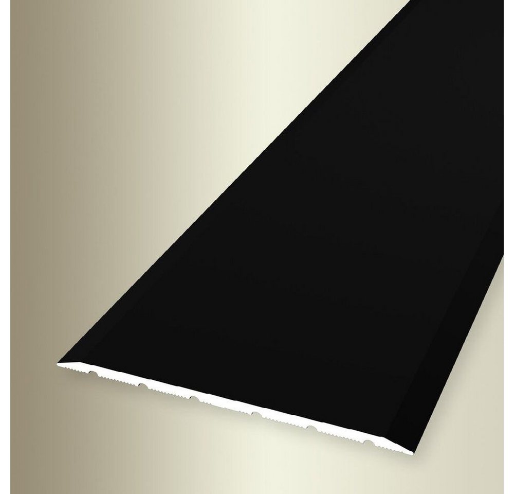 PROVISTON Übergangsprofil Aluminium, 80 x 900 mm, Schwarz, Übergangsschiene Bodenprofil PROVISTON Übergangsprofil Aluminium, 80 x 900 mm, Schwarz, Übergangsschiene Bodenprofil von PROVISTON