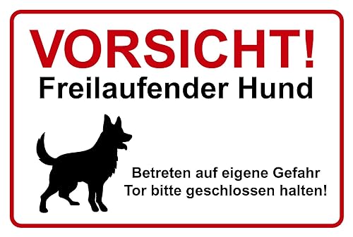 Prolac – 2x Hundeschild für Sicherheit und Stil – Robustes PVC-Hartschaum – Freilaufender Hund Design – 30x20cm – Wetterbeständig – Einfache Anbringung – Klare Botschaft – Deutsche Qualität von PROlac Beschriftungen