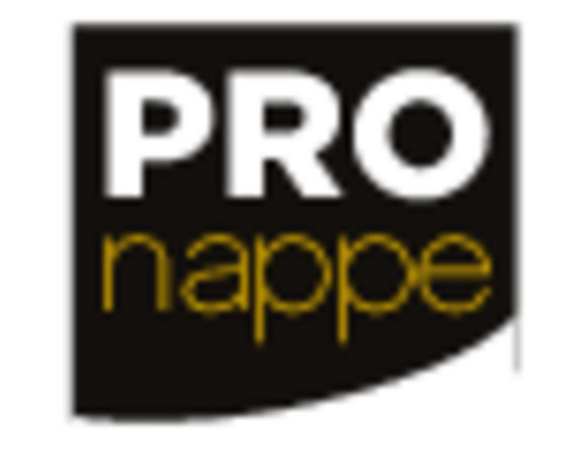 PROnappe Papierserviette PROnappe Dinner-Servietten, 380 x 380 mm, elfenbein von PROnappe