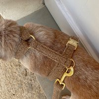 Braunes Teddy Hundegeschirr Für Große, Kleine Hunde & Welpen - Goldene Metallteile Veganes Hund Geschirr Luxus Passende Leine Erhältlich von PRUNKHUND