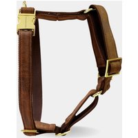 Veganes Leder Hundegeschirr Traveler - Handgefertigt in Deutschland Exklusives Braun Und Gold Für Rüde Hündin von PRUNKHUND