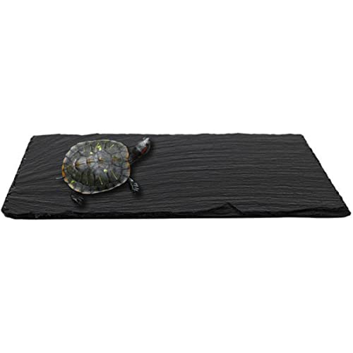 PSFDEWT Aquarium Slate Reptile Habitat Rock Tortoise Slate Reptile Acksende Fütterungsschale schwarz m PSFDEWT Aquarium Slate Reptile Habitat Rock Tortoise Slate Reptile Acksende Fütterungsschale schwarz m von PSFDEWT