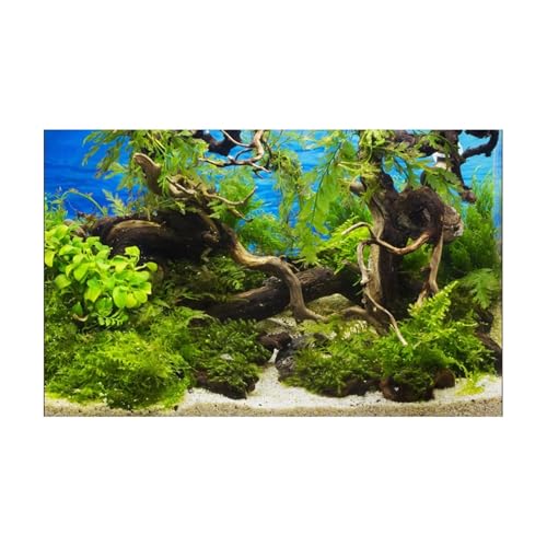 PSNKLMM Aquarium Hintergrund Aufkleber Hintergrund Poster Pflanze Fisch Tank Dekoration Selbstklebende Tapete Hintergrund(54x122cm) von PSNKLMM