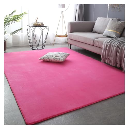 PSNKLMM Verdicken Teppich Wohnzimmer Korallen Fleece Große Fläche Schlafzimmer Teppich Weiche Kinder Spielen Boden Matte Mädchen Fenster Nacht Yoga Matte(2,50x160cm(19x62 in)) von PSNKLMM