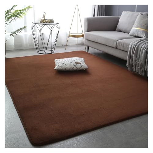 PSNKLMM Verdicken Teppich Wohnzimmer Korallen Fleece Große Fläche Schlafzimmer Teppich Weiche Kinder Spielen Boden Matte Mädchen Fenster Nacht Yoga Matte(Coffee,50x80cm(19x31 in) von PSNKLMM