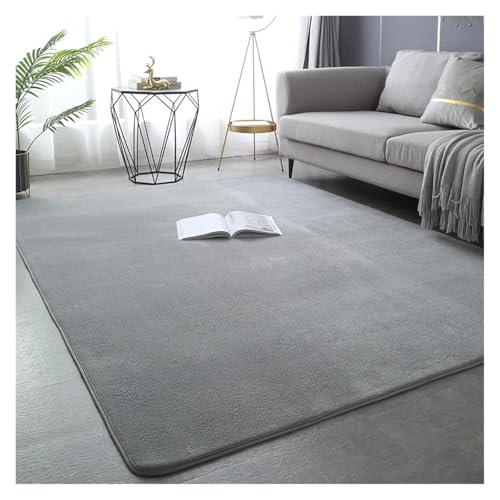 PSNKLMM Verdicken Teppich Wohnzimmer Korallen Fleece Große Fläche Schlafzimmer Teppich Weiche Kinder Spielen Boden Matte Mädchen Fenster Nacht Yoga Matte(Gray,120x200cm(47x78 in)) von PSNKLMM