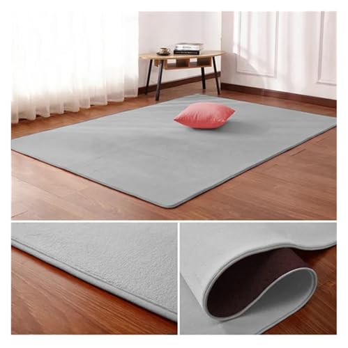 PSNKLMM Wohnzimmer Teppich Bodenmatte Schlafzimmer Bett Korallen Fleece Decke Studie Tür Teppich Korallen Fleece Kissen(10,200 x200cm) von PSNKLMM