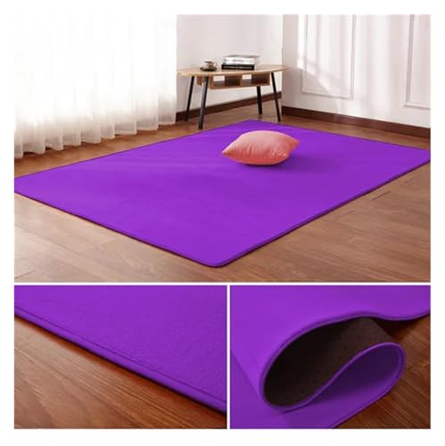 PSNKLMM Wohnzimmer Teppich Bodenmatte Schlafzimmer Bett Korallen Fleece Decke Studie Tür Teppich Korallen Fleece Kissen(11,50 x120cm) von PSNKLMM
