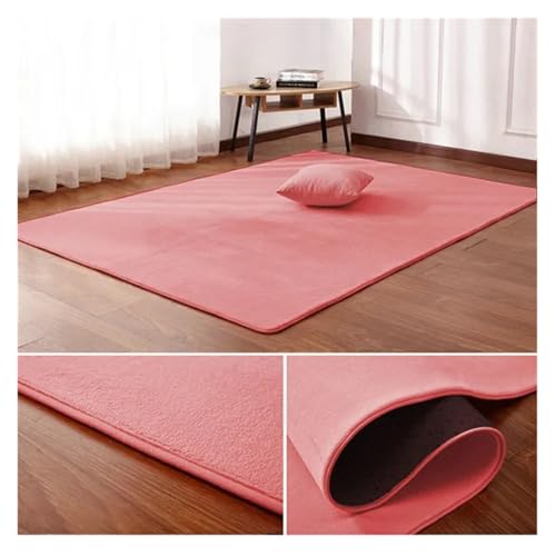 PSNKLMM Wohnzimmer Teppich Bodenmatte Schlafzimmer Bett Korallen Fleece Decke Studie Tür Teppich Korallen Fleece Kissen(2,50 x80cm) von PSNKLMM