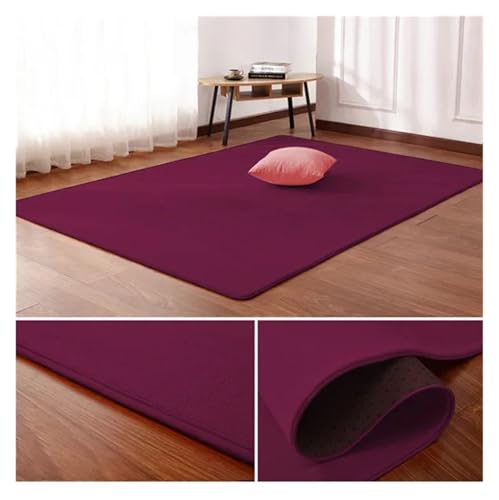 PSNKLMM Wohnzimmer Teppich Bodenmatte Schlafzimmer Bett Korallen Fleece Decke Studie Tür Teppich Korallen Fleece Kissen(3,160 x200cm) von PSNKLMM